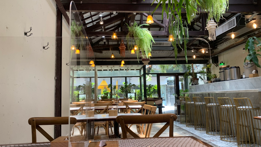 珍妮花與南洋杉（現場候位）