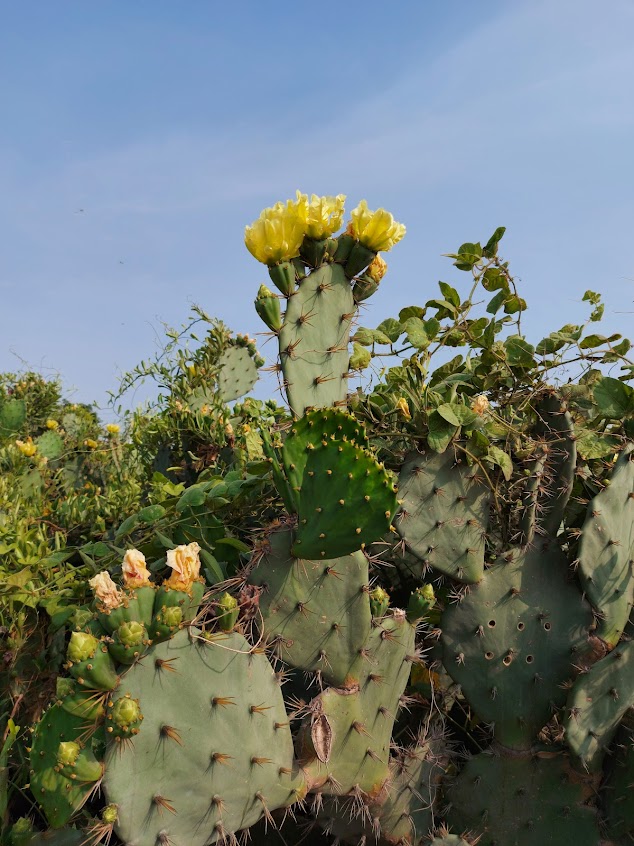 林園海洋溼地公園