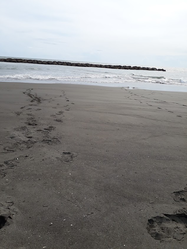 大琦夢小吃部 Ktv