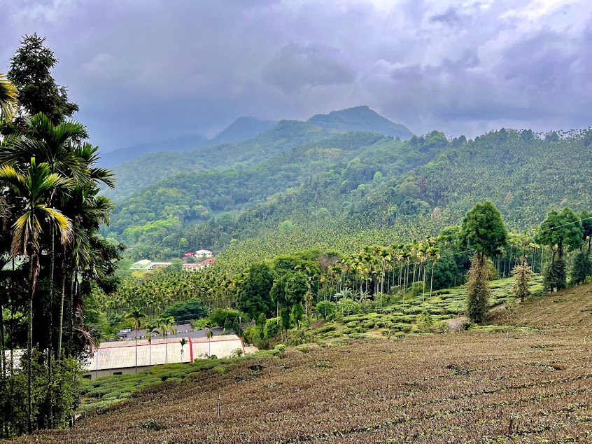 那瑪夏淬月莊園咖啡