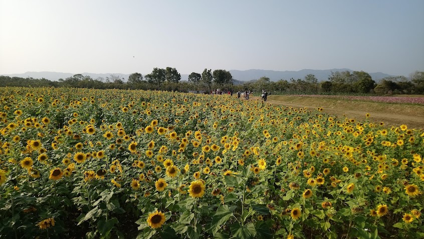 永齡杉林有機農業園區