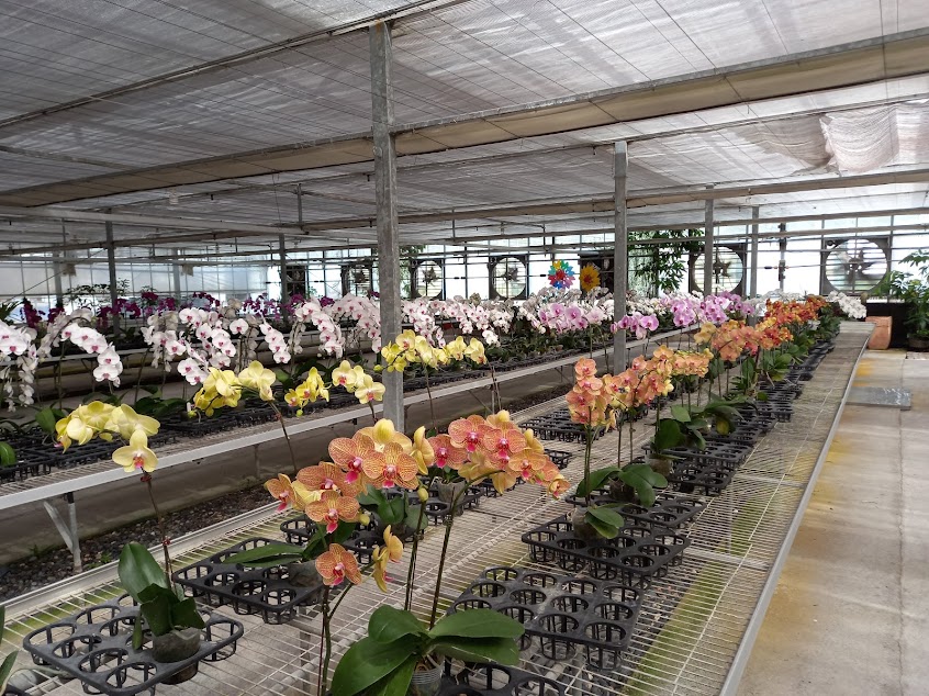 金車員山蘭花園