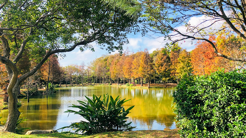 松湖園休閒農場