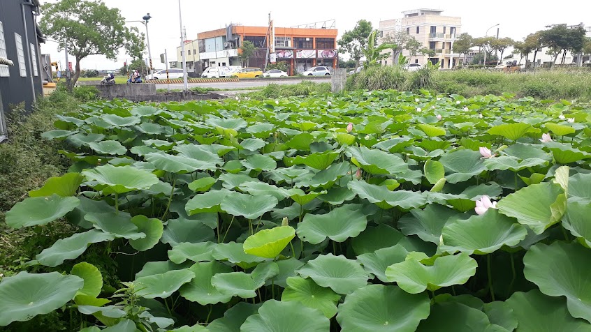 水噹噹視聽伴唱