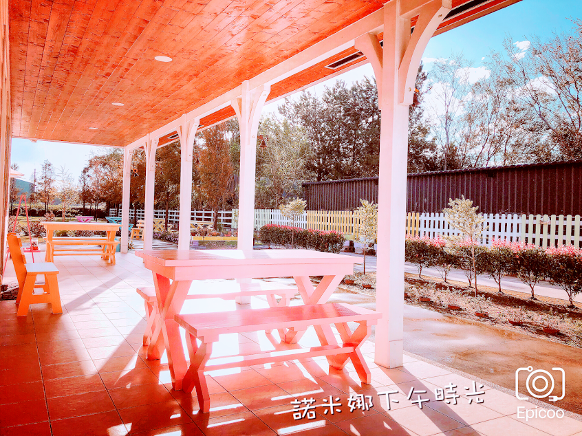 諾米娜下午時光