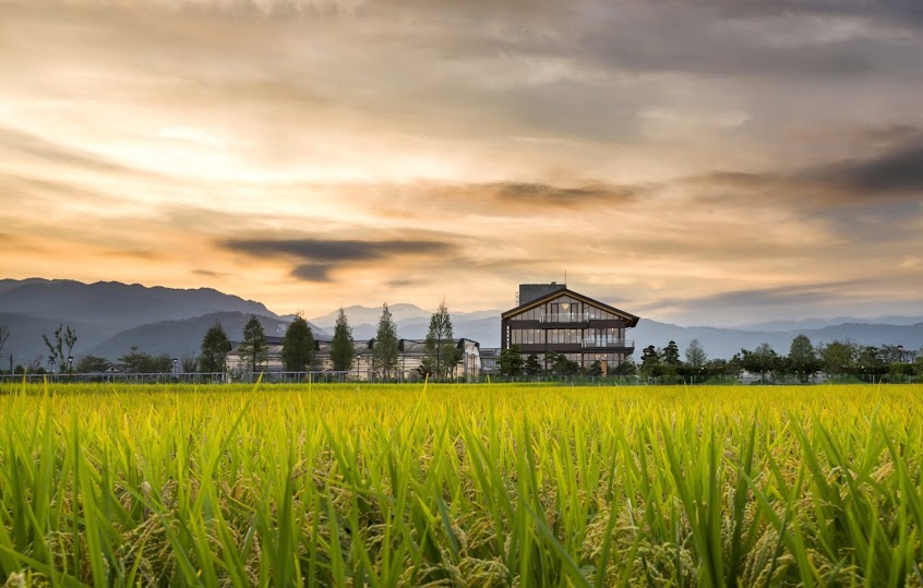 棗稻田有機休閒農場