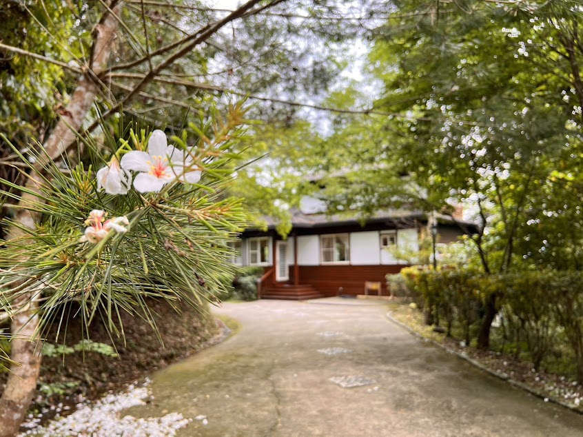 苗栗熊木屋/南庄包棟民宿推薦/苗栗烤肉KTV麻將包棟民宿/苗栗小木屋包棟民宿/苗栗包棟/包棟民宿推薦