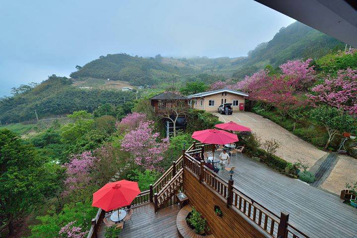 天然居民宿.包棟.親子賞螢.咖啡