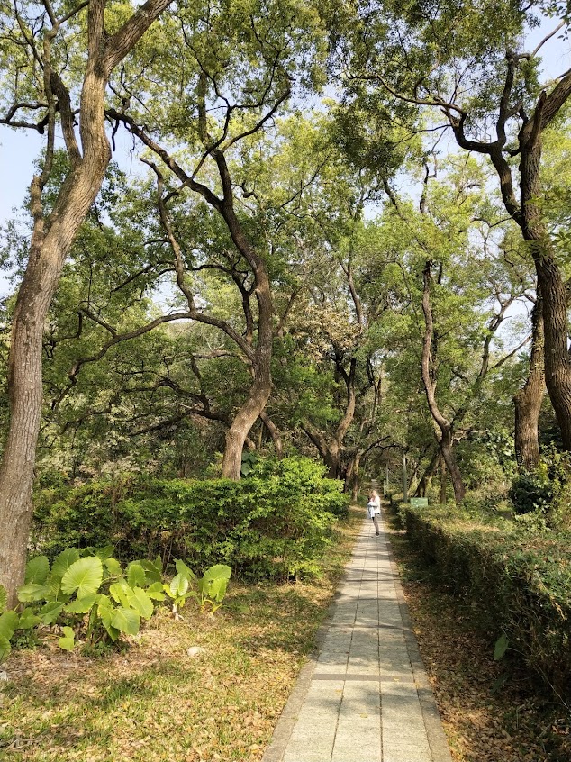 九九峰生態藝術園區