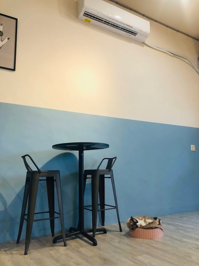 走起擼貓 -Burger & Pasta & Coffee