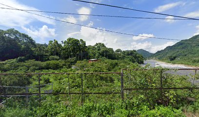 國姓鄉油甘果園