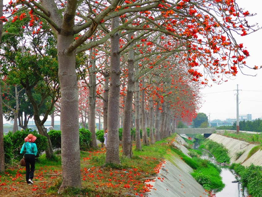YBMC雲香莓酒水行銷公司