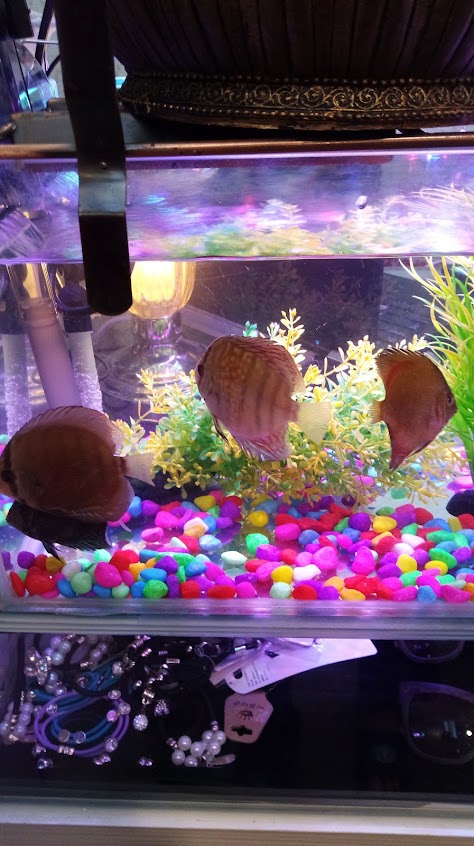 桓陽菸酒專賣店