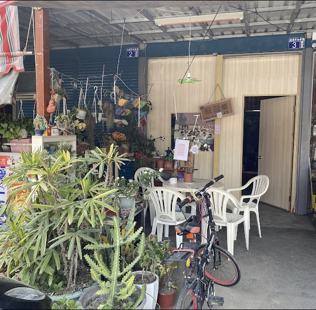 嗨~ 🌲旺旺樹🌲