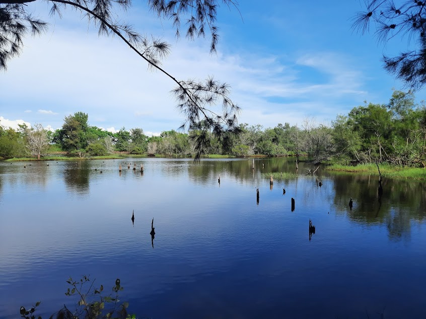好美里-水漾森林