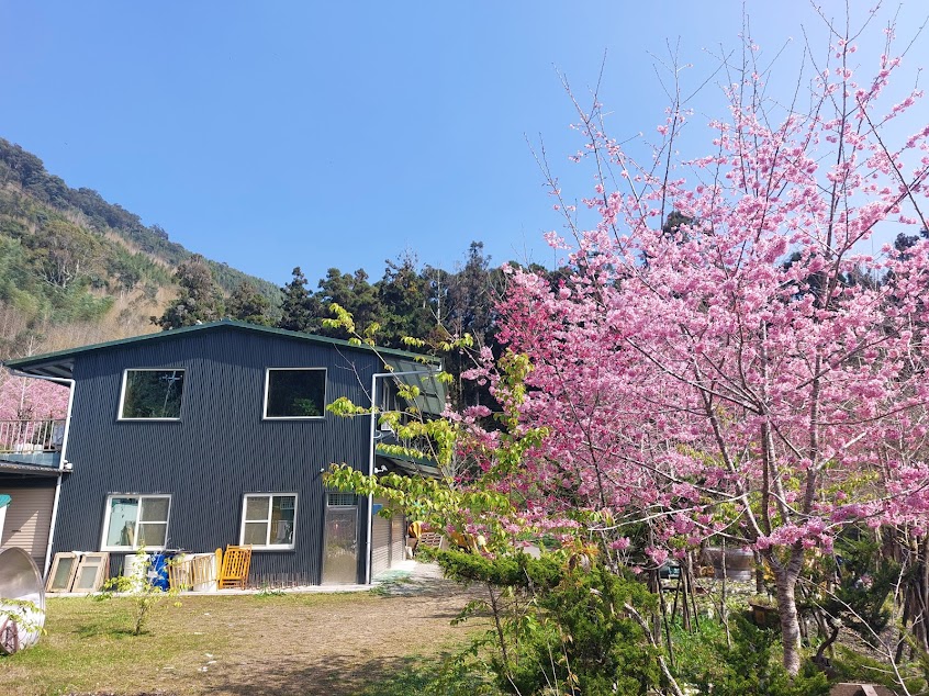 頂湖 大凍山休閒渡假中心