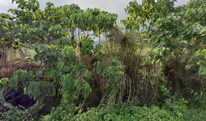 未來的三間屋小吧