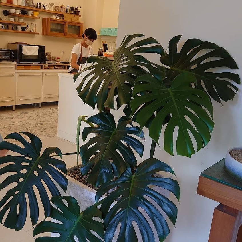 若水生活咖啡廳（店休日詳見FB粉絲頁）