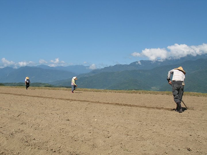 大自然體驗農家(Line預約）