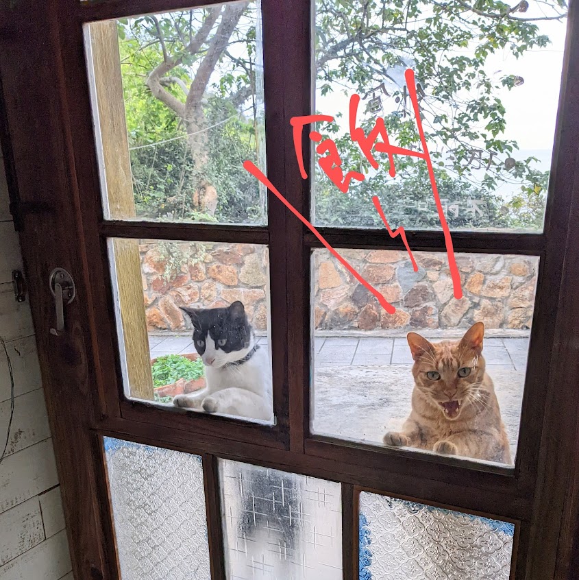 沒有訂位服務且不想在googlemap存在的南萌咖啡館 Café Nanmon