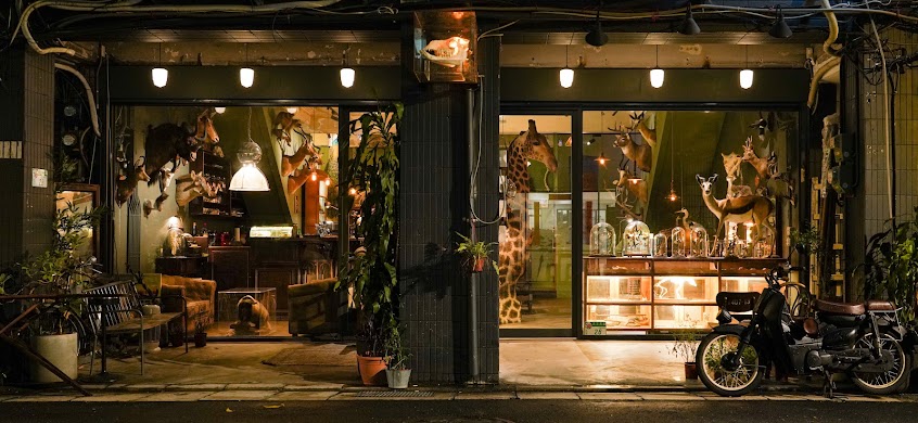 遷鳥陳列所-Cafe｜台北迪化街咖啡廳推薦｜迪化街酒吧、古董