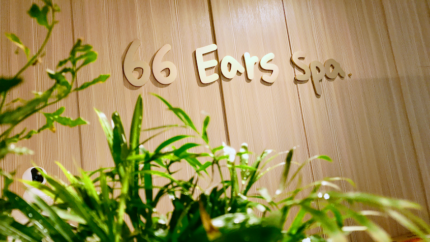 66 Ears Spa 採耳專門|大台北士林天母淡水