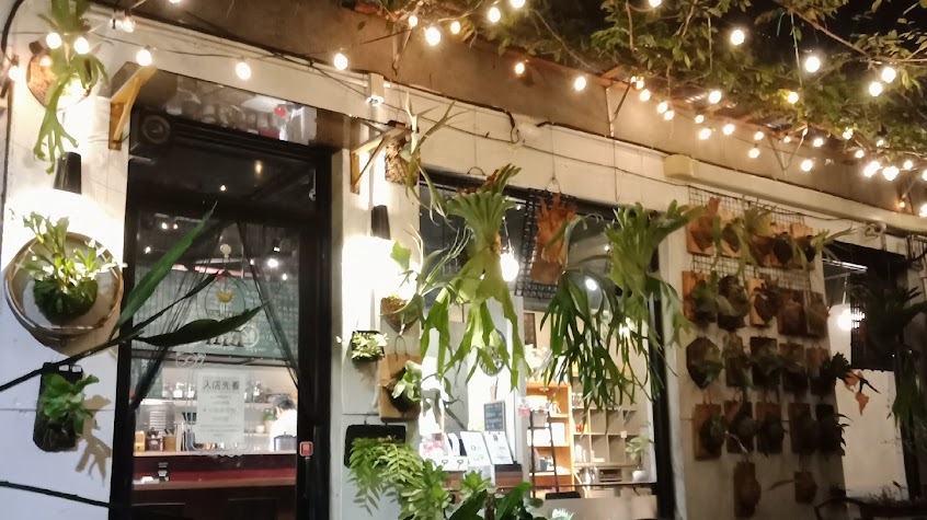 白鹿咖啡（Mr.白鹿）|自家烘豆、咖啡豆販售 | 鹿角蕨、上板教學、代客上板