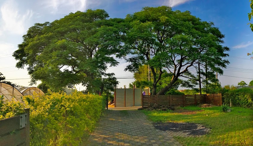 楝咖啡私人招待所