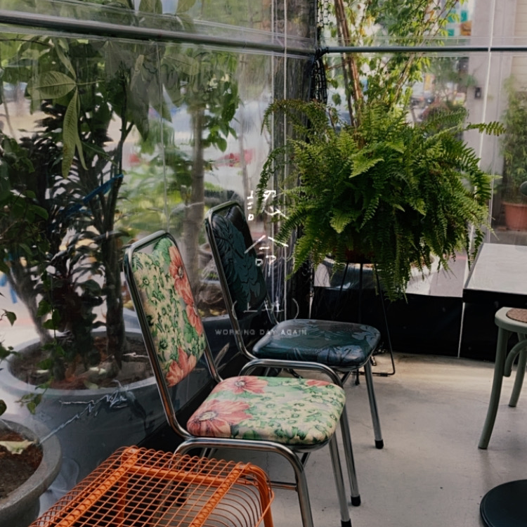 吃光cacti早餐午餐輕空間