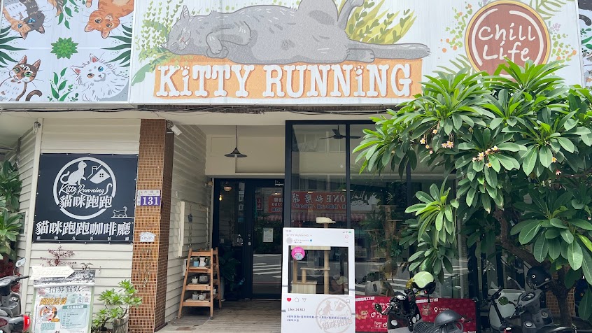 秋樂主義Kitty Running-貓咪跑跑咖啡廳/貓咪中途咖啡廳/下午茶/寵物友善餐廳