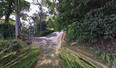 台中市石岡區石岡巫家農場