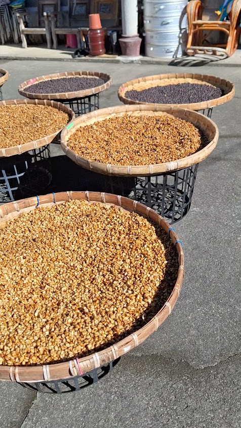 龍豬山谷咖啡莊園