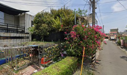 加城新星美食堂