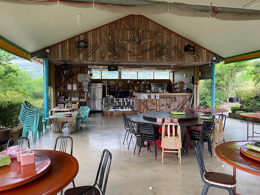 臺南楠西梅嶺楓采榆咖啡